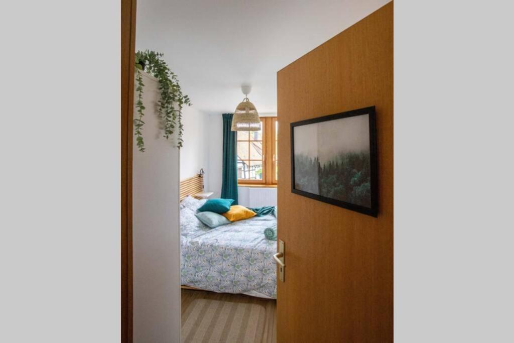 Charming Apartment Basel Border - 3 Bedrooms Hegenheim Luaran gambar