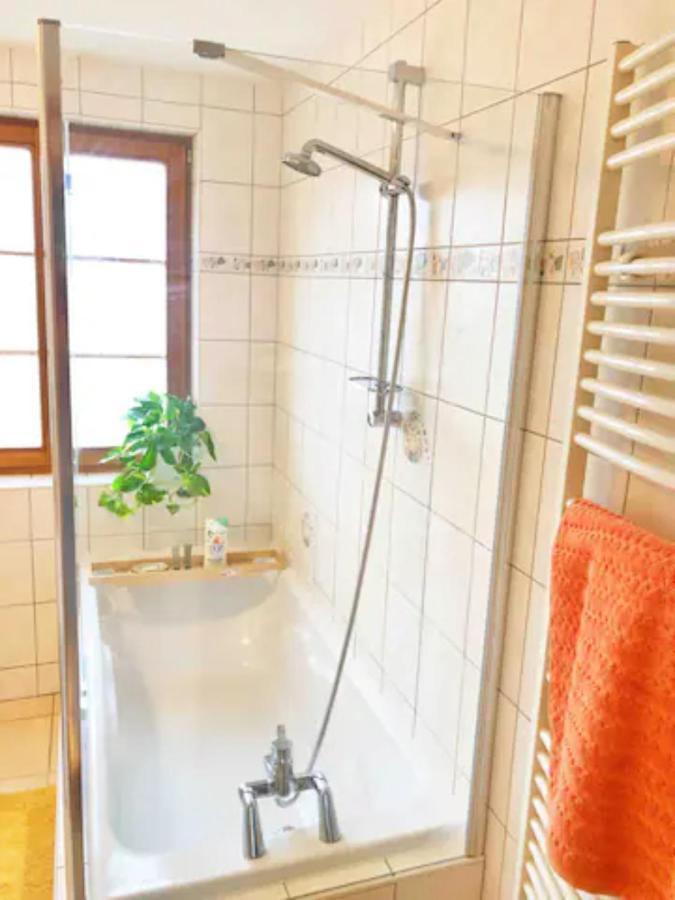 Charming Apartment Basel Border - 3 Bedrooms Hegenheim Luaran gambar