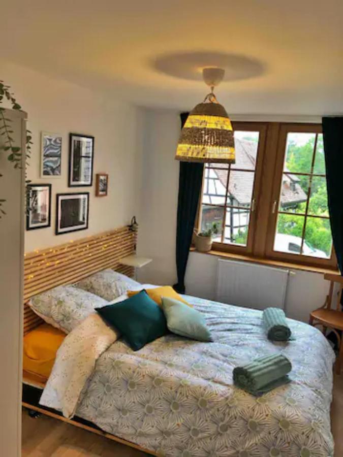 Charming Apartment Basel Border - 3 Bedrooms Hegenheim Luaran gambar